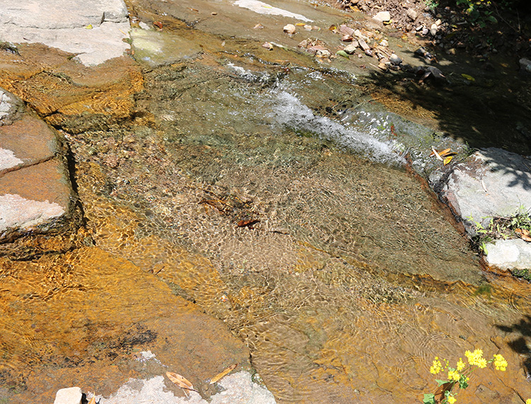 安吉深溪竹山泉