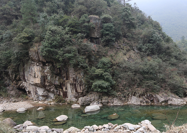 安吉深溪竹山泉