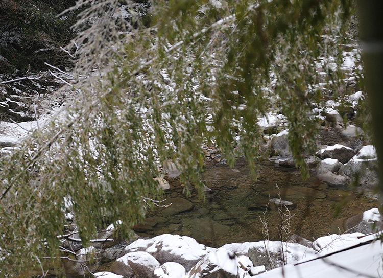 安吉深溪竹山泉